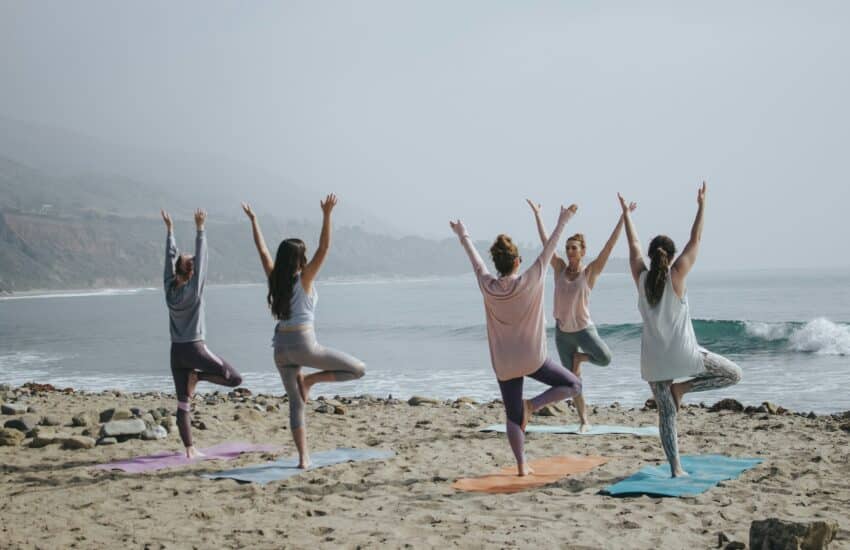 Qu&rsquo;est-ce que le Hatha Yoga ?